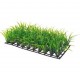 PLANT MAT 3 25x12.5cm