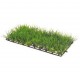 PLANT MAT 1 25x12.5cm