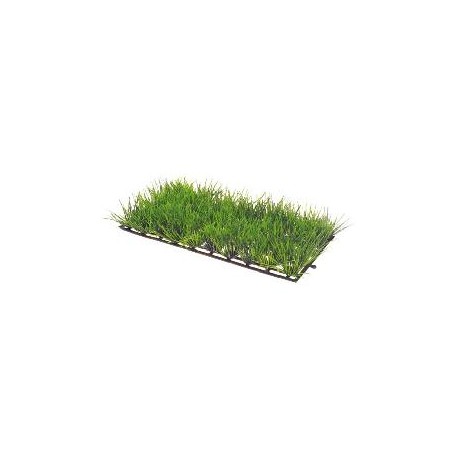 PLANT MAT 1 25x12.5cm