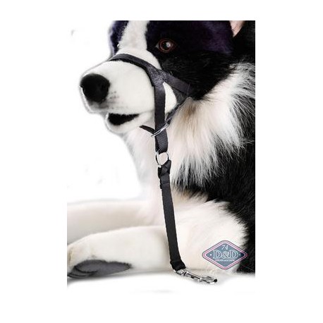 DOG CONTROL S 35-44CM