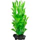 DECOART PLANTA HYGROPHILA 15CM S