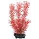 DECOART PLANTA FOXTAIL 15CM S