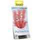 DECOART PLANTA FOXTAIL30CM L