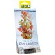 DECOART PLANTA LUDWIGIA 15CM S