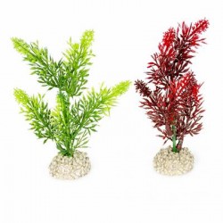 PLANTA Aquadella color surt. 13cm alto 