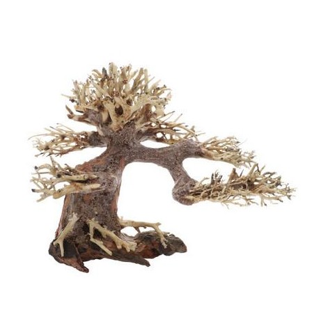 BONSAI BONSAI S 20X10X15cm