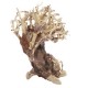 BONSAI CROOKED ROOT M 30X13X23cm