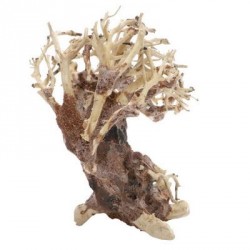 BONSAI CROOKED ROOT M 30X13X23cm