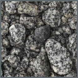 GRAVA DALMATIER STONE 10-50mm BOLSA 10KG