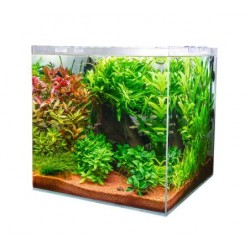 Acuario Dupla Scaping cube 30 x30x35cm