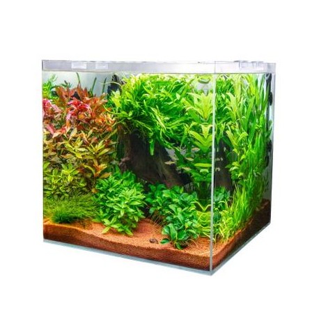 Acuario Dupla Scaping cube 30 x30x35cm