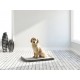 PUPPY TRAINER KIT GRANDE   60X48X4CM